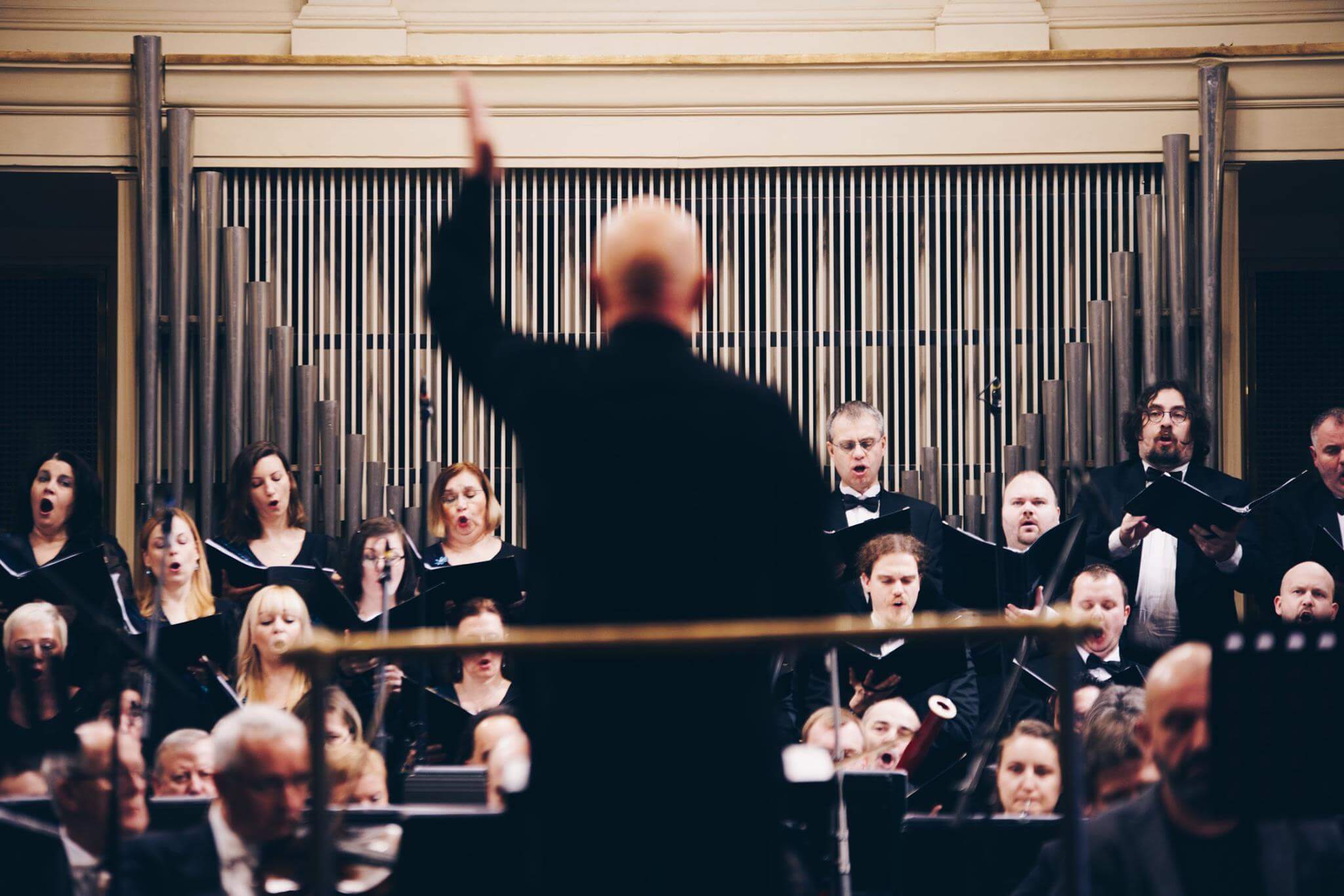 84764436_2872225022816444_7002415216545759232_o